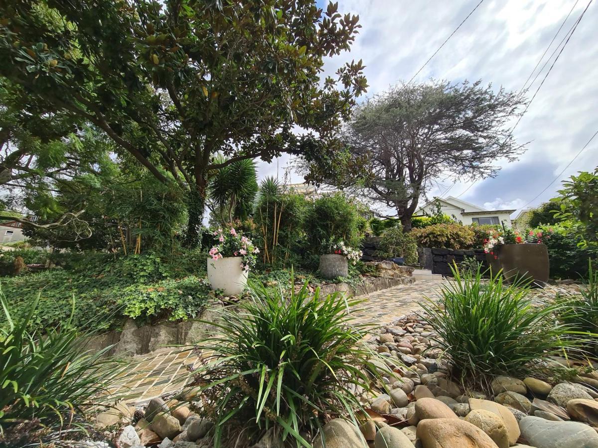 Bamboo House, Close To The City & Airport & Train Station And Brighton Le Sands Beach Sydney Luaran gambar